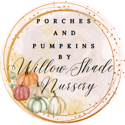 Porches & Pumpkins