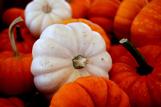 Pumpkin Spice Package
