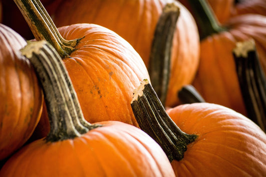 Autumn Elegance Experience Package