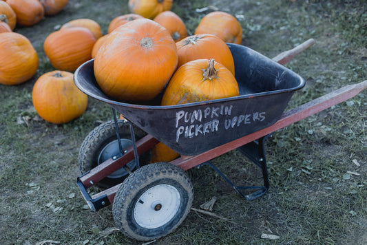 Pumpkin Removal